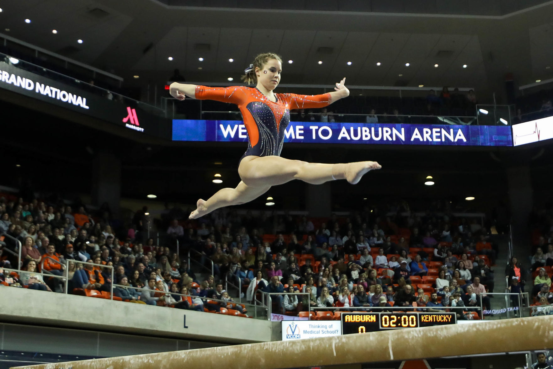 Auburn vs. Kentucky gymnastics